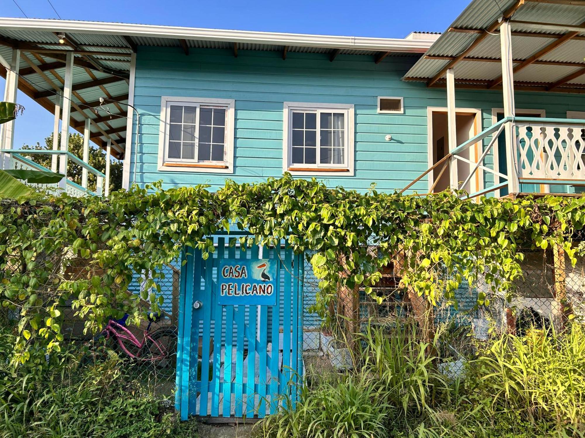 בוקס דל טורו Casa Pelicano מראה חיצוני תמונה